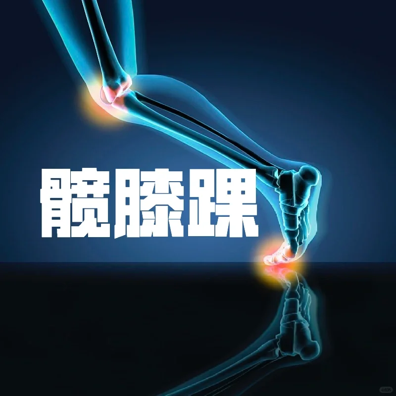 髋膝踝