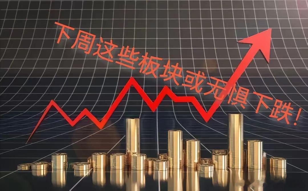 下周跌势似乎已经注定。但有些板块可能会受到资金青睐。首先，从1月8日发改委和财政