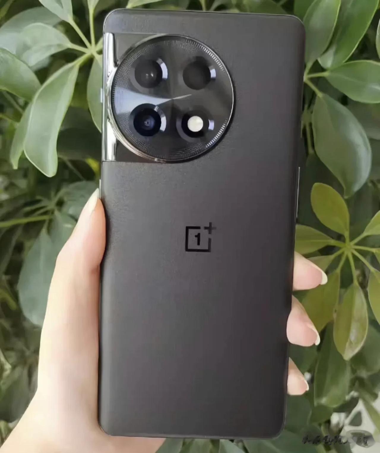 绿厂葫芦里卖的是什么药？为什么这么长时间，一加Ace2不降价反而涨价？而这个一加