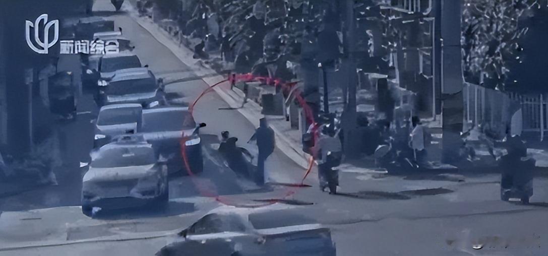 上海普陀区人民法院的法官薛依斯，彻底火了！行人闯红灯， 外卖骑手飙车超速，两人撞