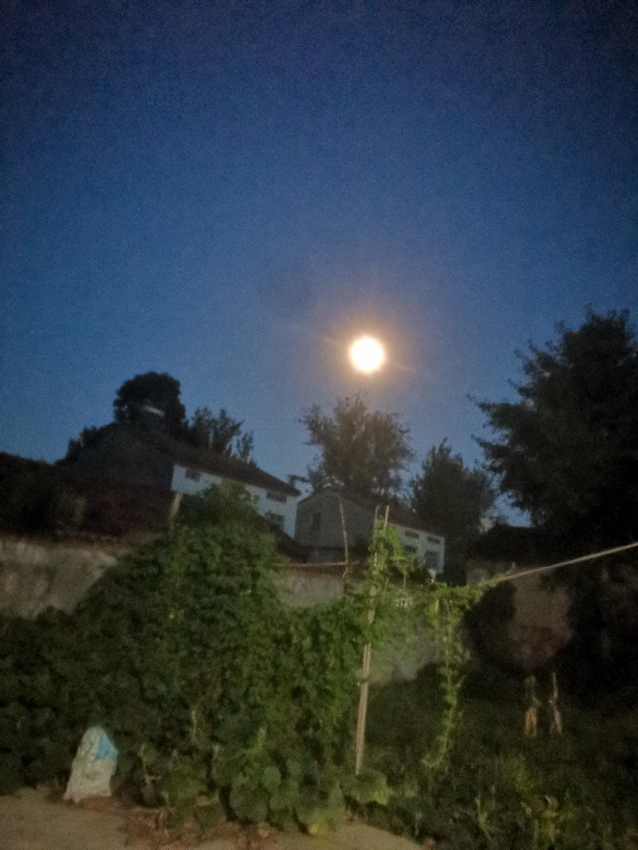 今晚的月亮真亮，蝉声阵阵。
我看了下日历，今天七月十三。
难怪，才到十五了，月亮