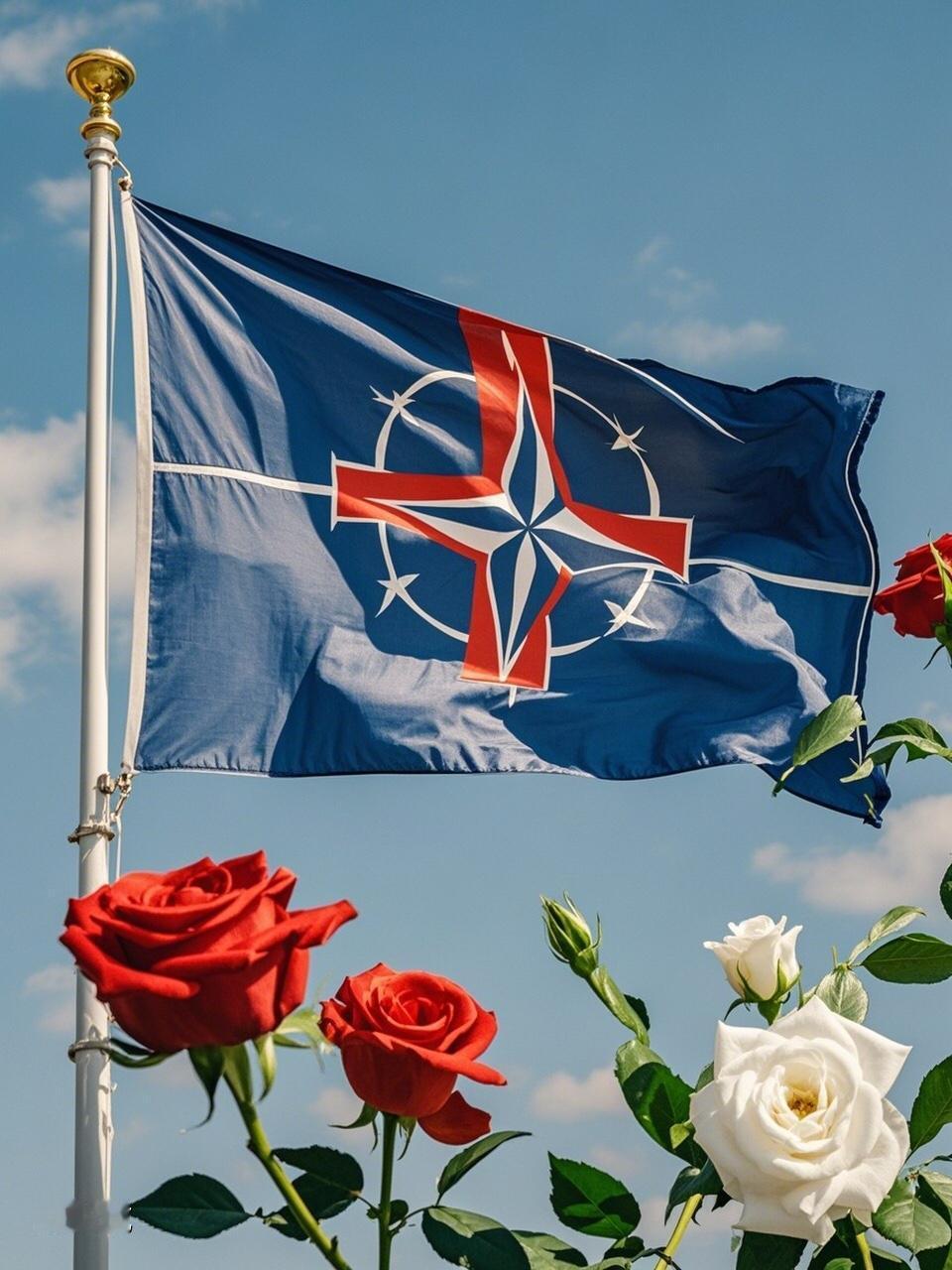 泽连斯基参加2026年慕安会，既是一次寻求盟友支持的攻坚行动，也是在西方压力下的