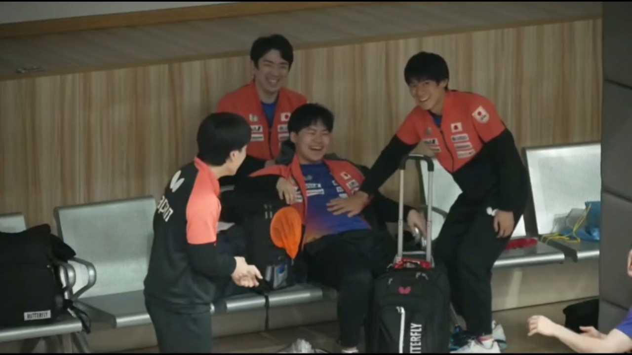 5591给猪肚鸡摸肚名场面约了稿，小鸡小猪就介么萌