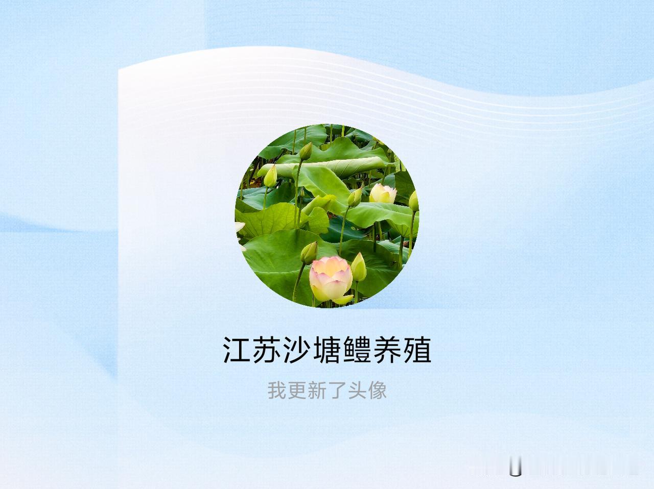 快来看看我新换的头像吧