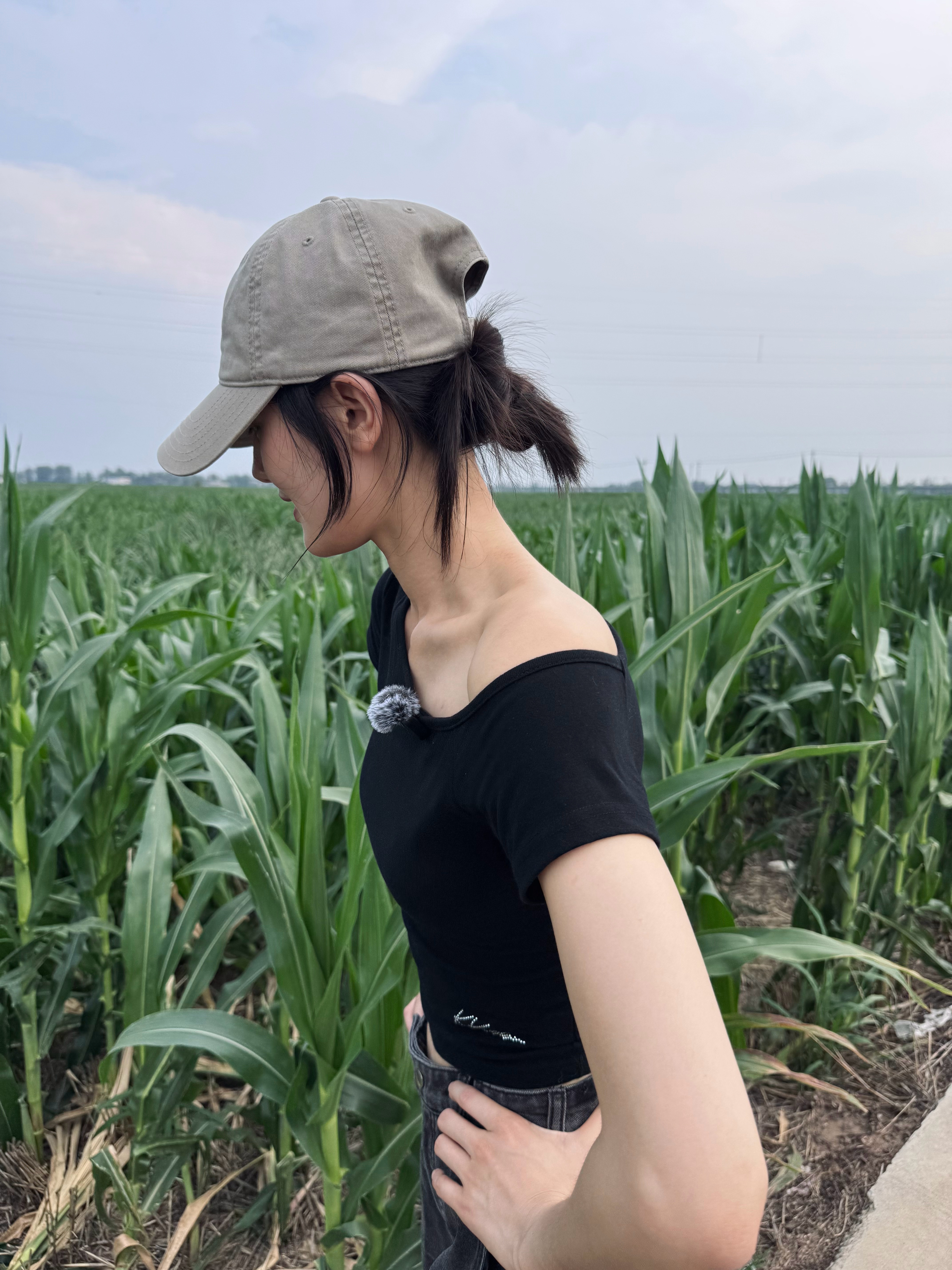 🌽 ​​​