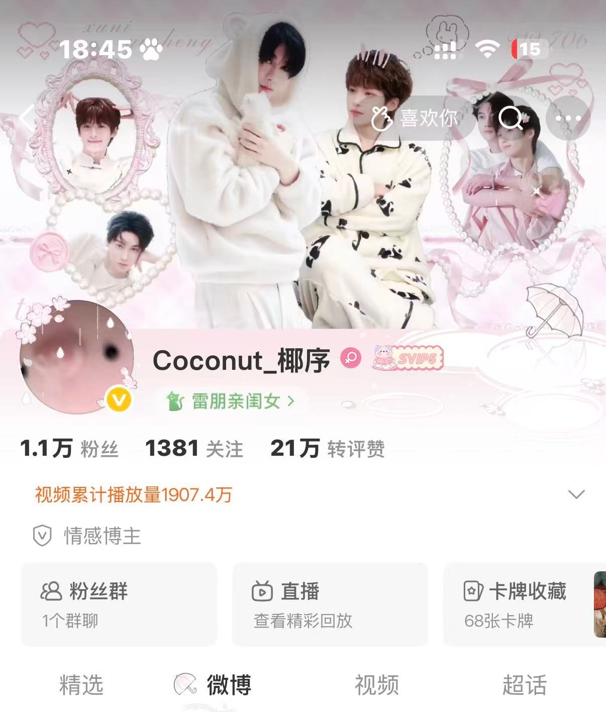 小飞猪点到答到！！！