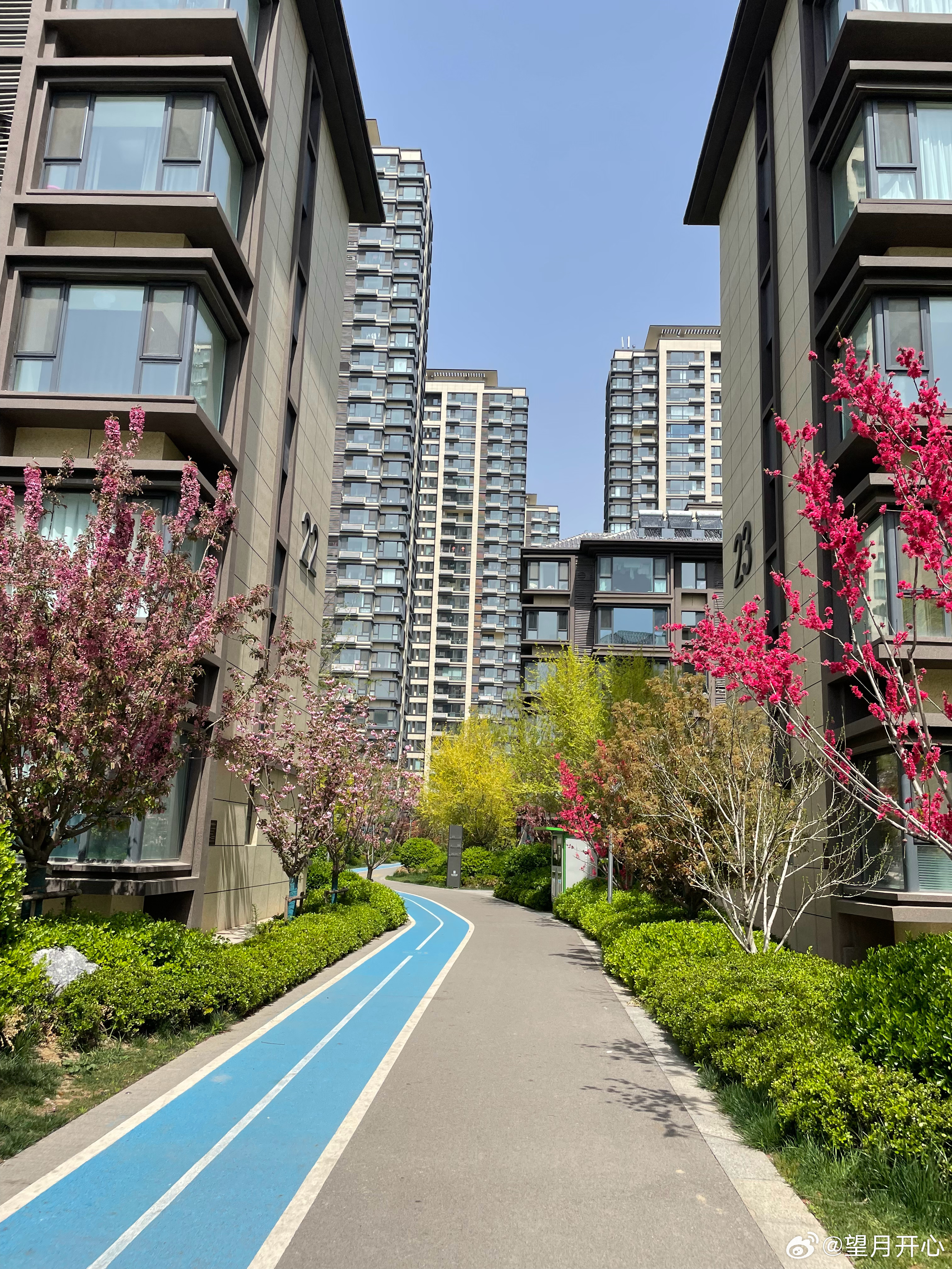 绿意盎然四月踏春季 聊城·财信·水城印象