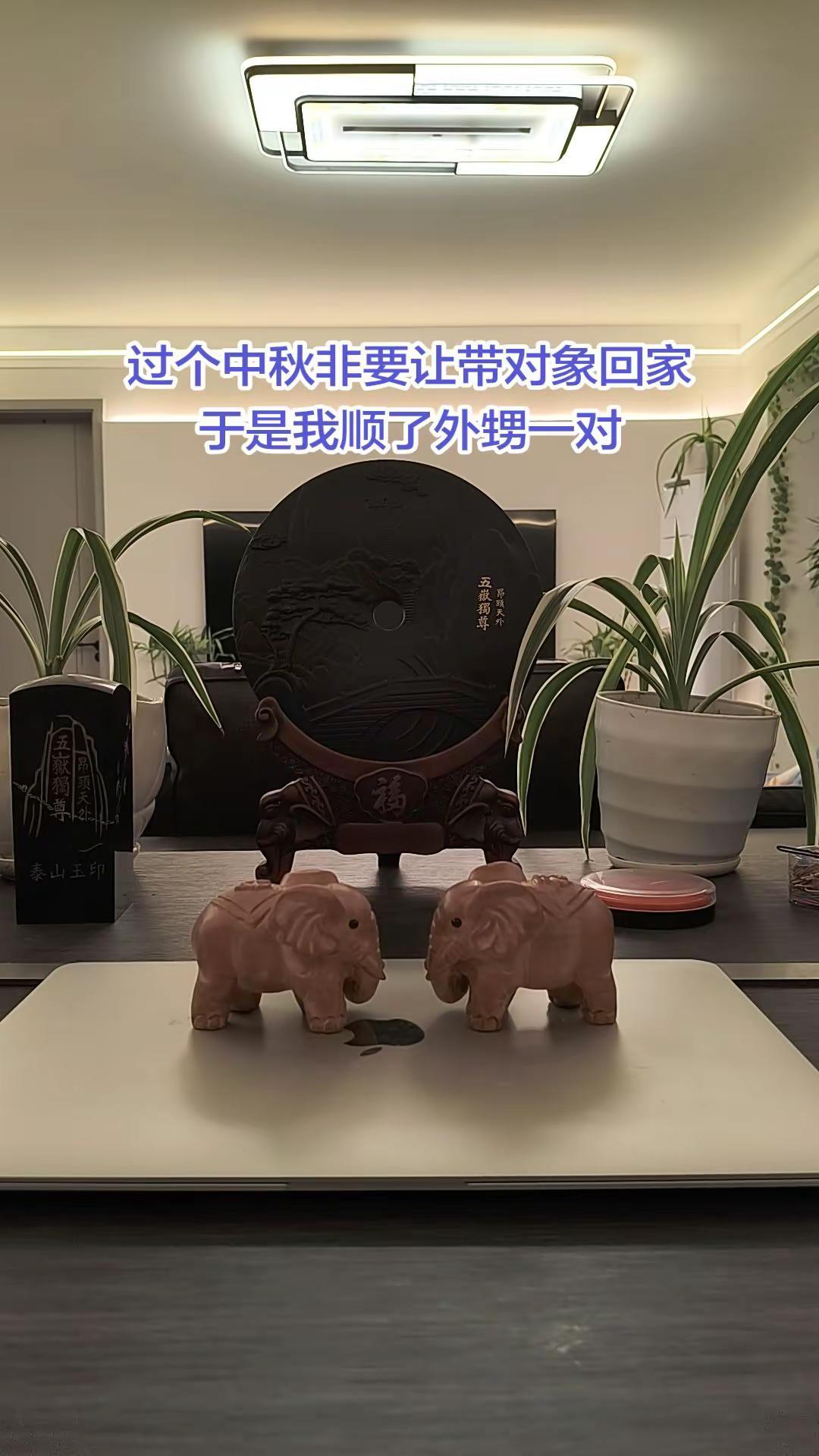 过个中秋非要让带对象回去，于是我顺了外甥一对