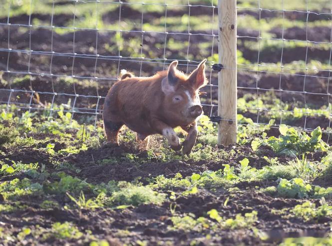 #周五ing快乐ing# 早！ ​​​