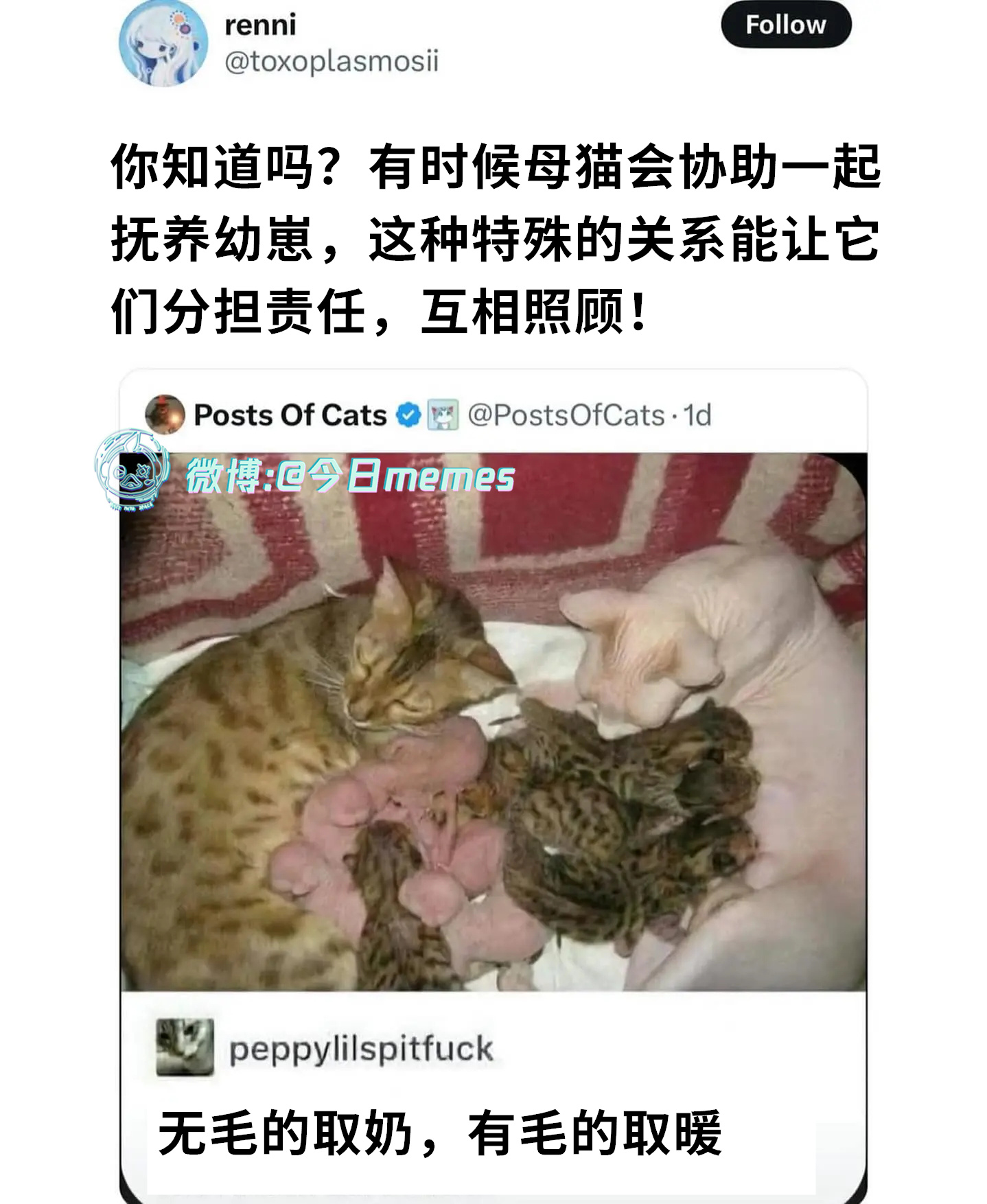 有力出力（9gag）今日meme今日memes