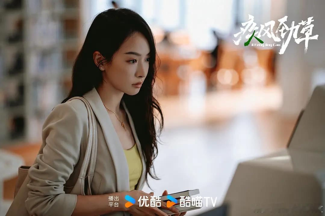 沈放曾因为给父亲筹款治病，被情报组织以“境外安保机构”的名义蒙骗聘用，在此过程中