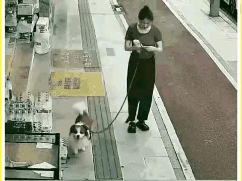 无话可说，唉！