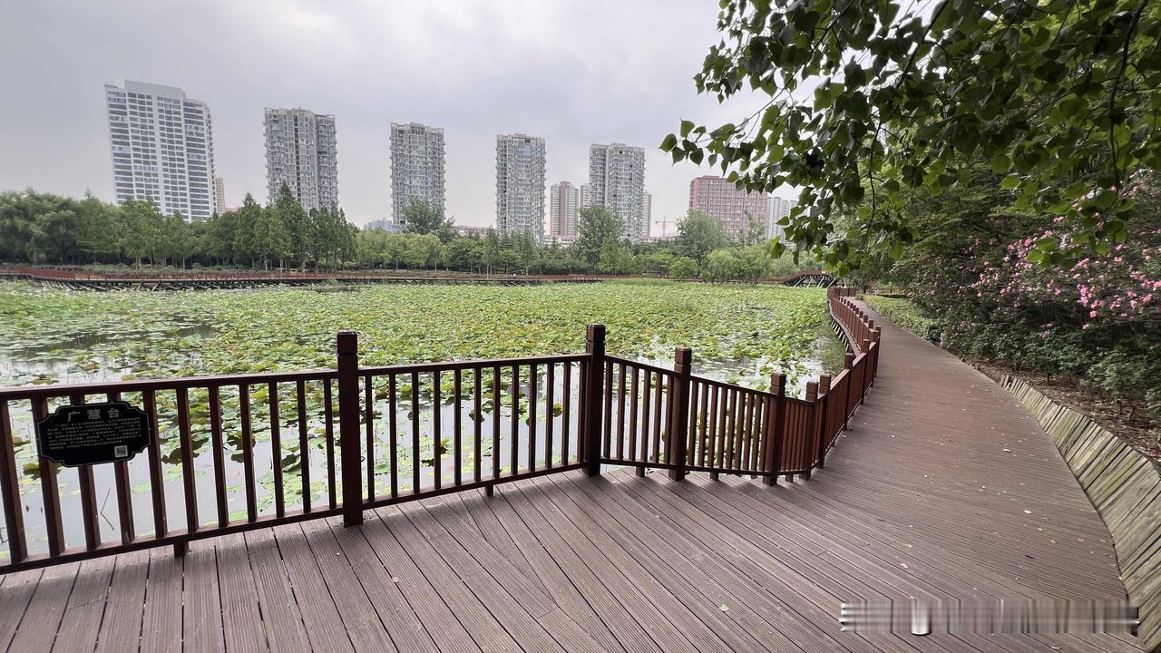 不得不说，人民的创造力是无限的，抖音上人才济济，刚刚刷到一个视频，她一个简单的文