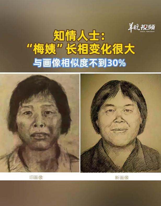 谁也跑不掉！潜逃多年的“恶魔”落网,主犯伏法只是个幌子，抓捕“梅姨”的天罗地网已