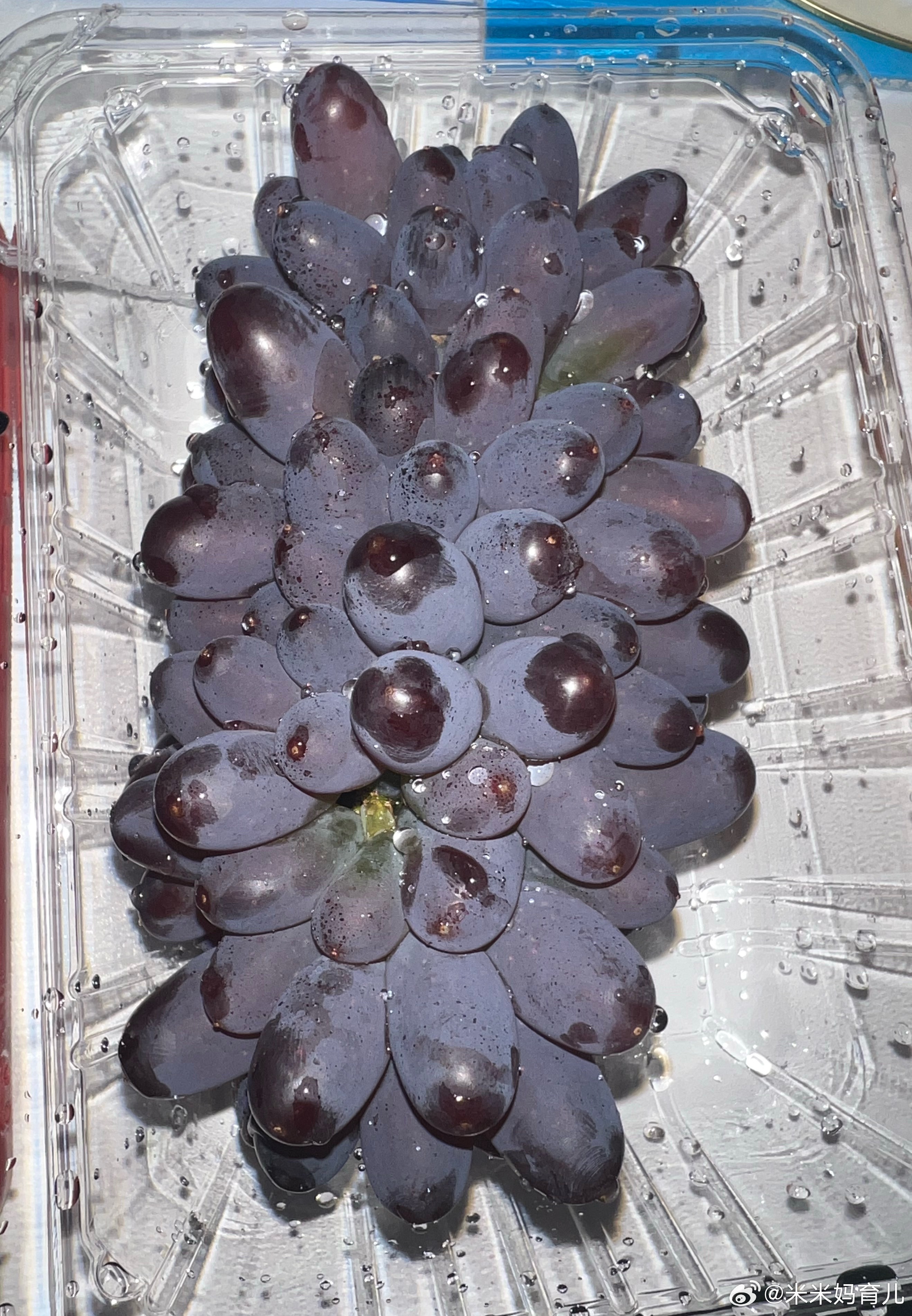 最近好喜欢吃这种葡萄～很甜微博 young派对春日许愿池