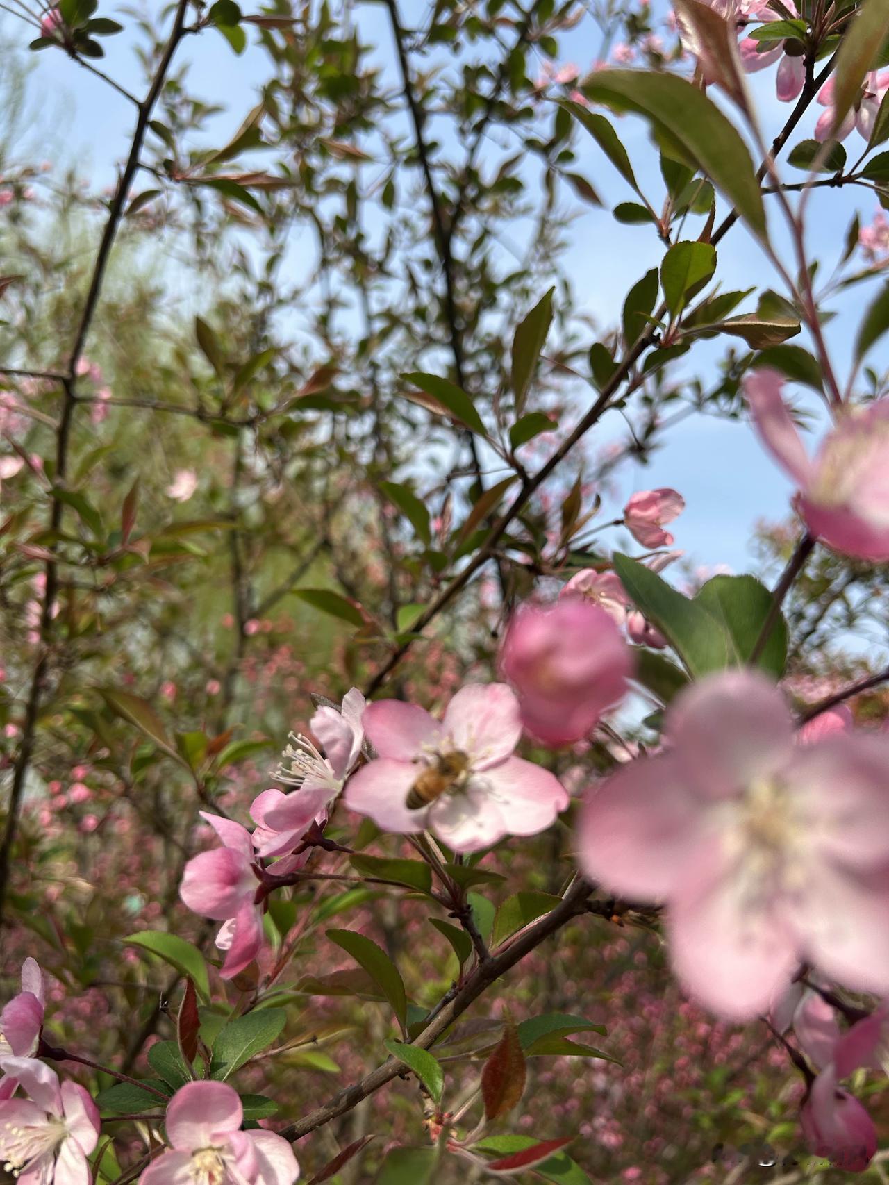 我是一退休老阿姨
喜欢
独来独往
一个人
宅在家里，早上弄点简餐
鸡蛋两个麦片一