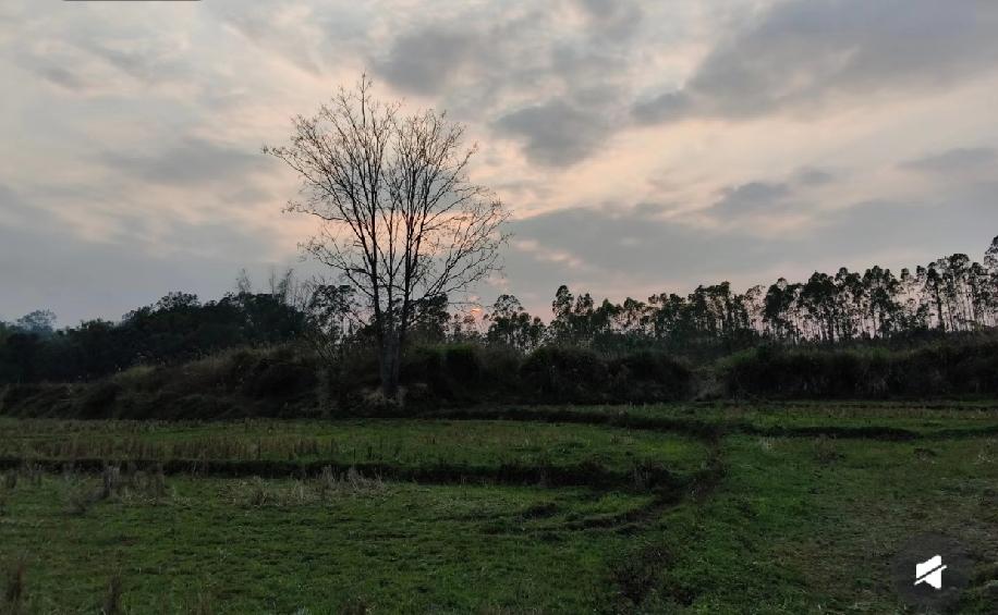 大年初一本是阖家团圆的日子，却出了糟心事，老公堂弟的岳母，也就是弟媳的妈妈，被同