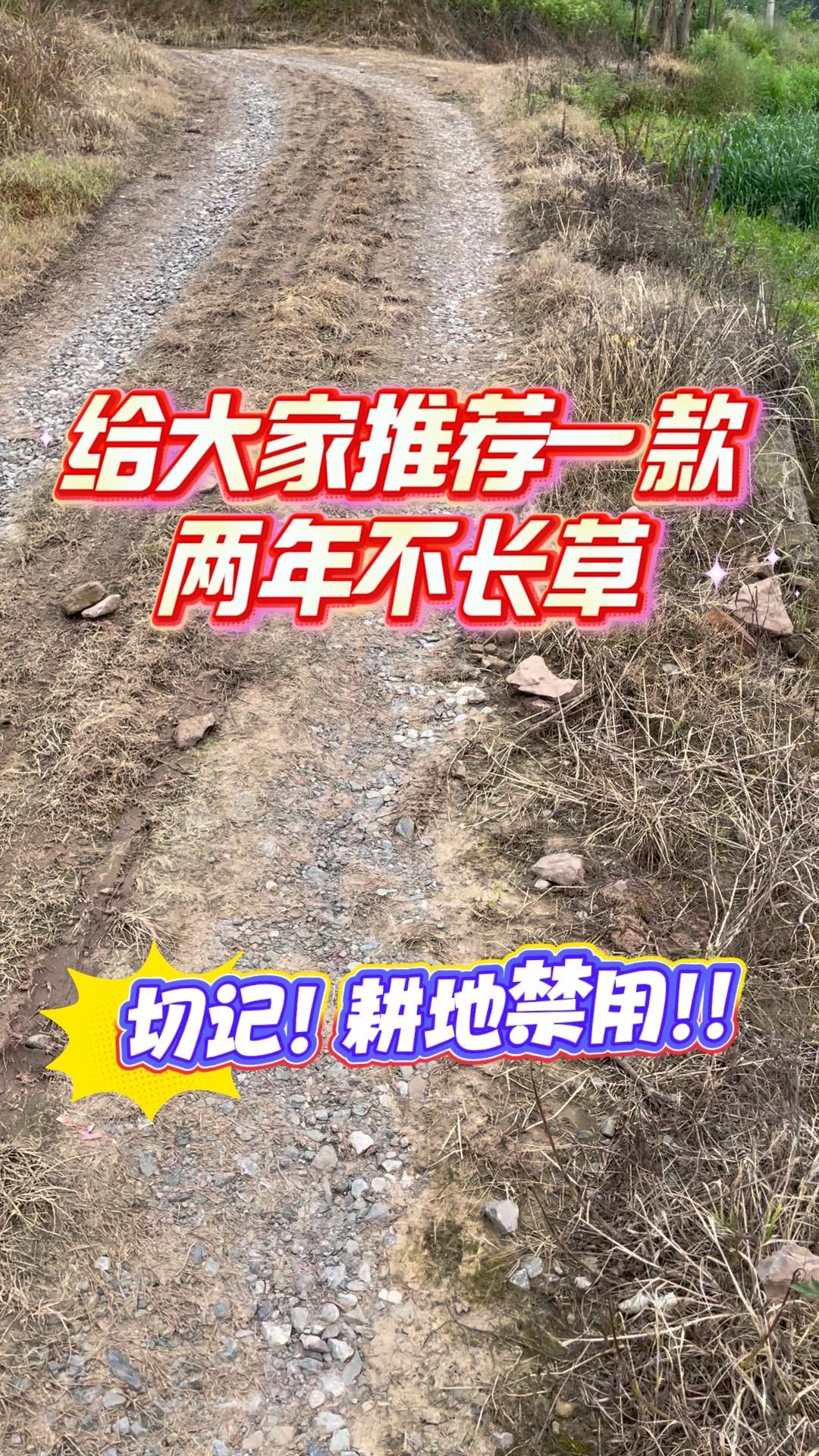 75%高含量的除草剂，用一次省事几年 效果太好耕地禁止使用除杂草甲嘧磺隆 公路除