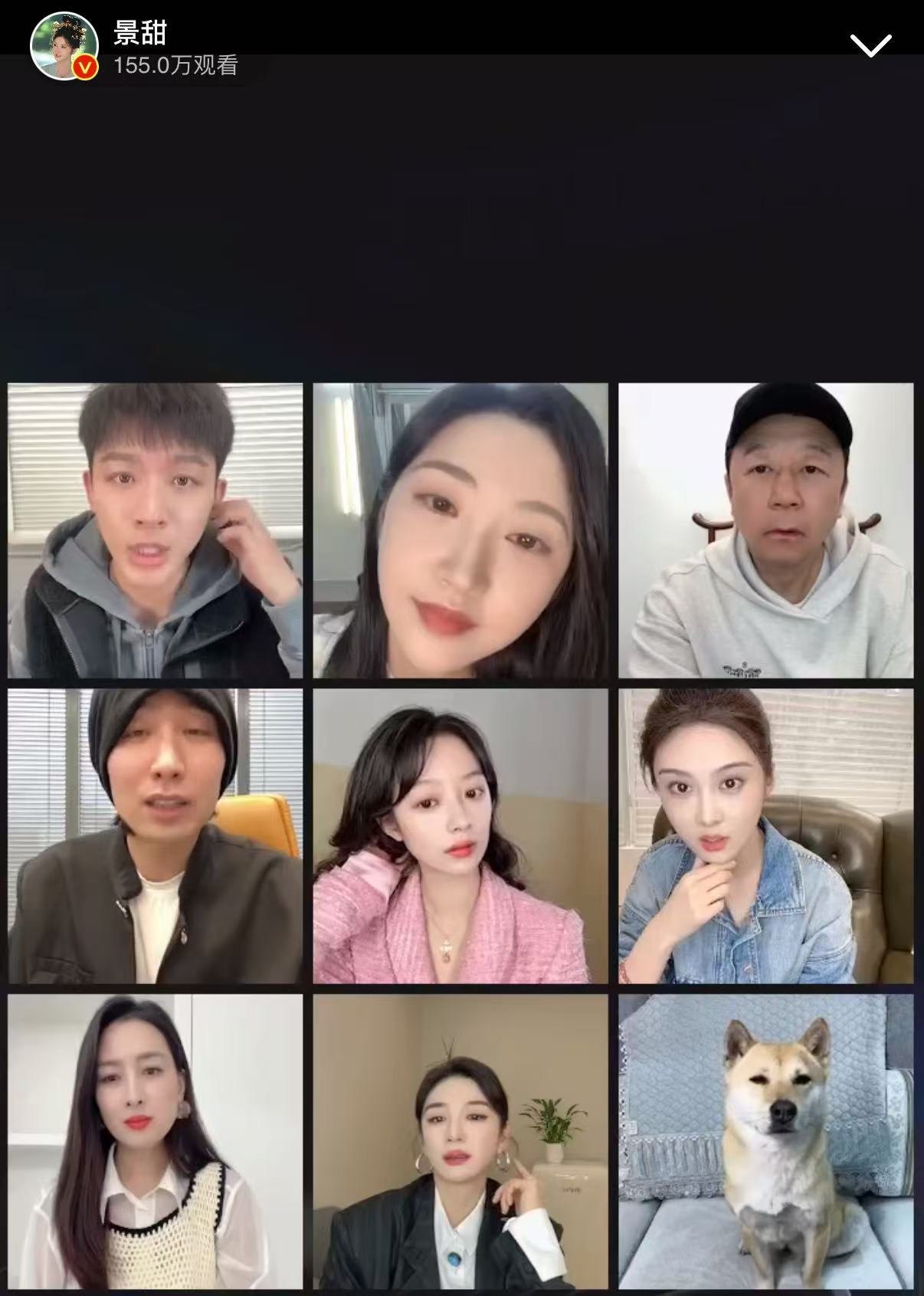 这年头剧宣狗也得直播 狗：我是什么剧宣小能手？ 