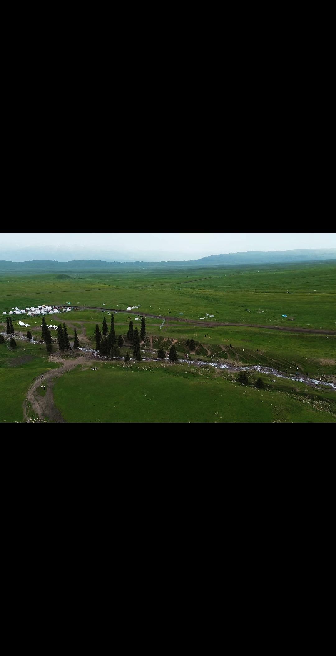 真正的修炼是血泵加速时听见的轰鸣，不是颅内妄念的嗡嗡 当你的脚踩进沼泽...