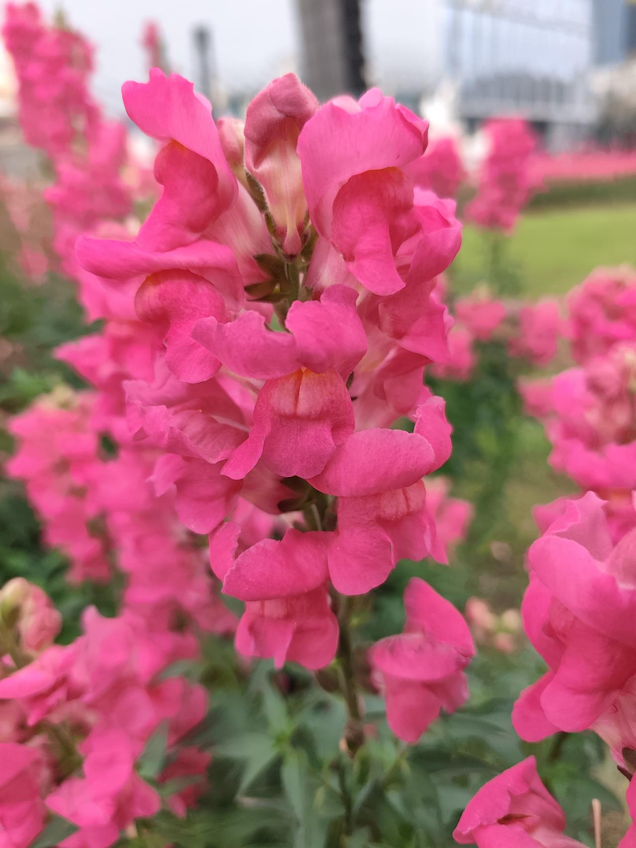 抛开钱不谈，我最想要的
 
抛开钱不谈，我最想要的，从来不是遥不可及的繁华，而是
