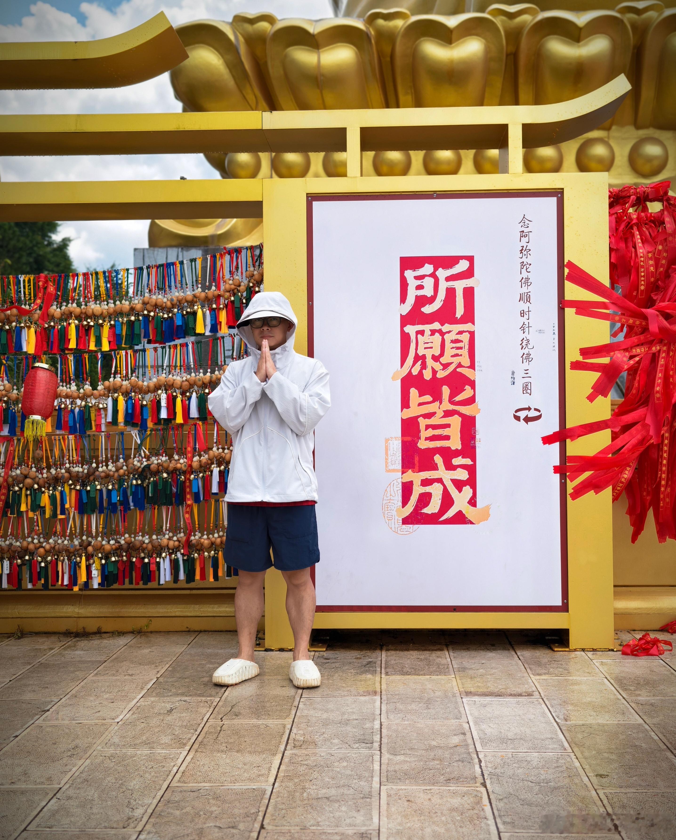 祝大家所愿皆成 