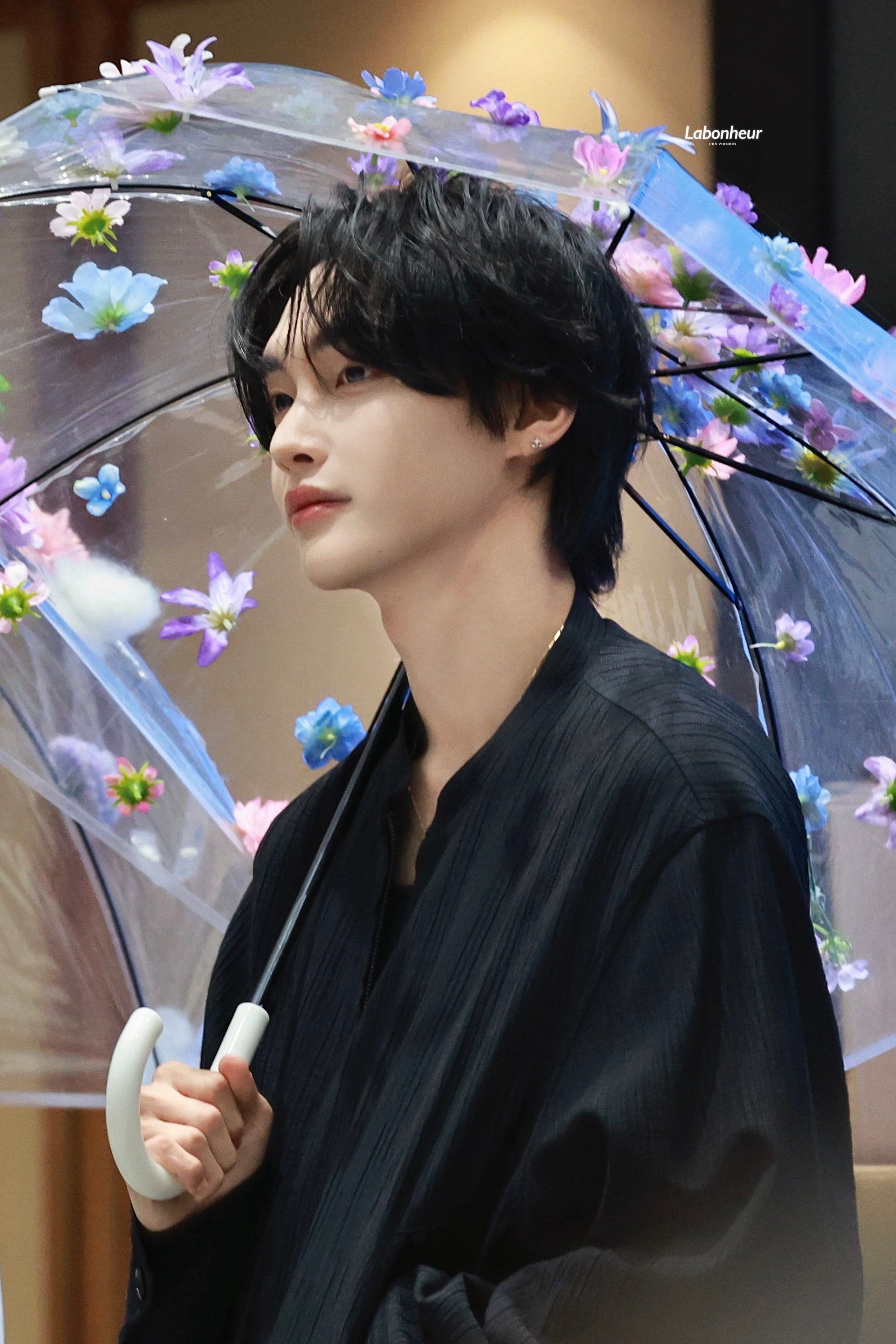 260606/labonheur /koi 