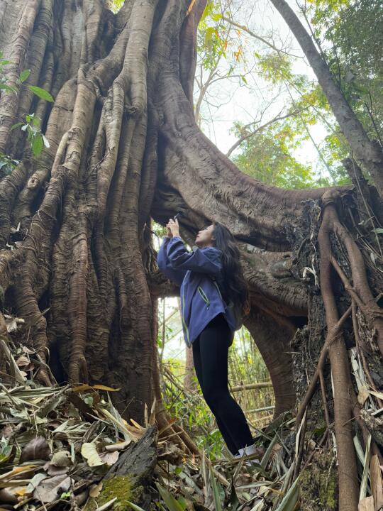 人往山上走 就是往高处走🧗⛰️