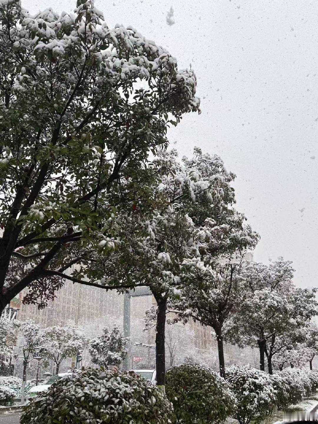 吴京 谛听我在长安很想你 长安雪落，刀马归处少了一位宿敌，多了一份惦念。吴京这句