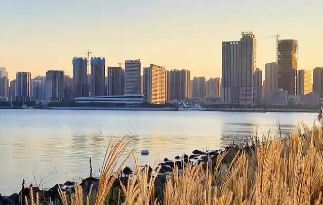 《湛江印象》

大道把碧蓝裁成两半，
海风在滩涂上，
擦拭着天空的倒影。
鲜甜在