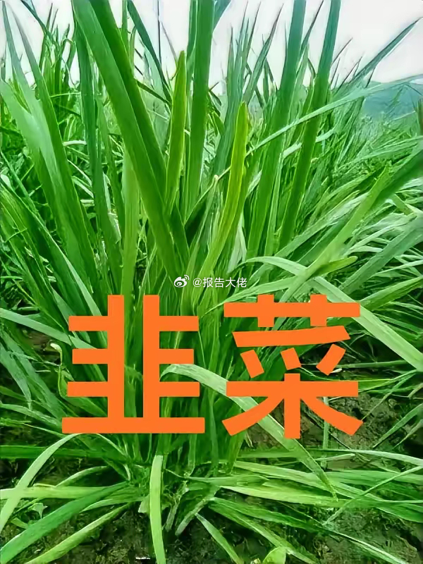 大A能不能硬气一点，这单我不买！ 