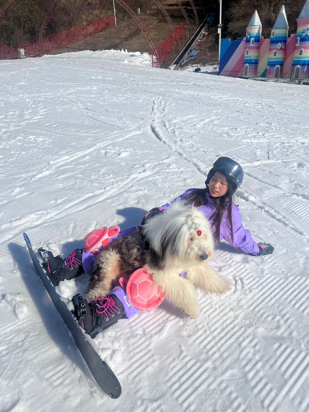 小狗狗我呀，也来神农架看雪了