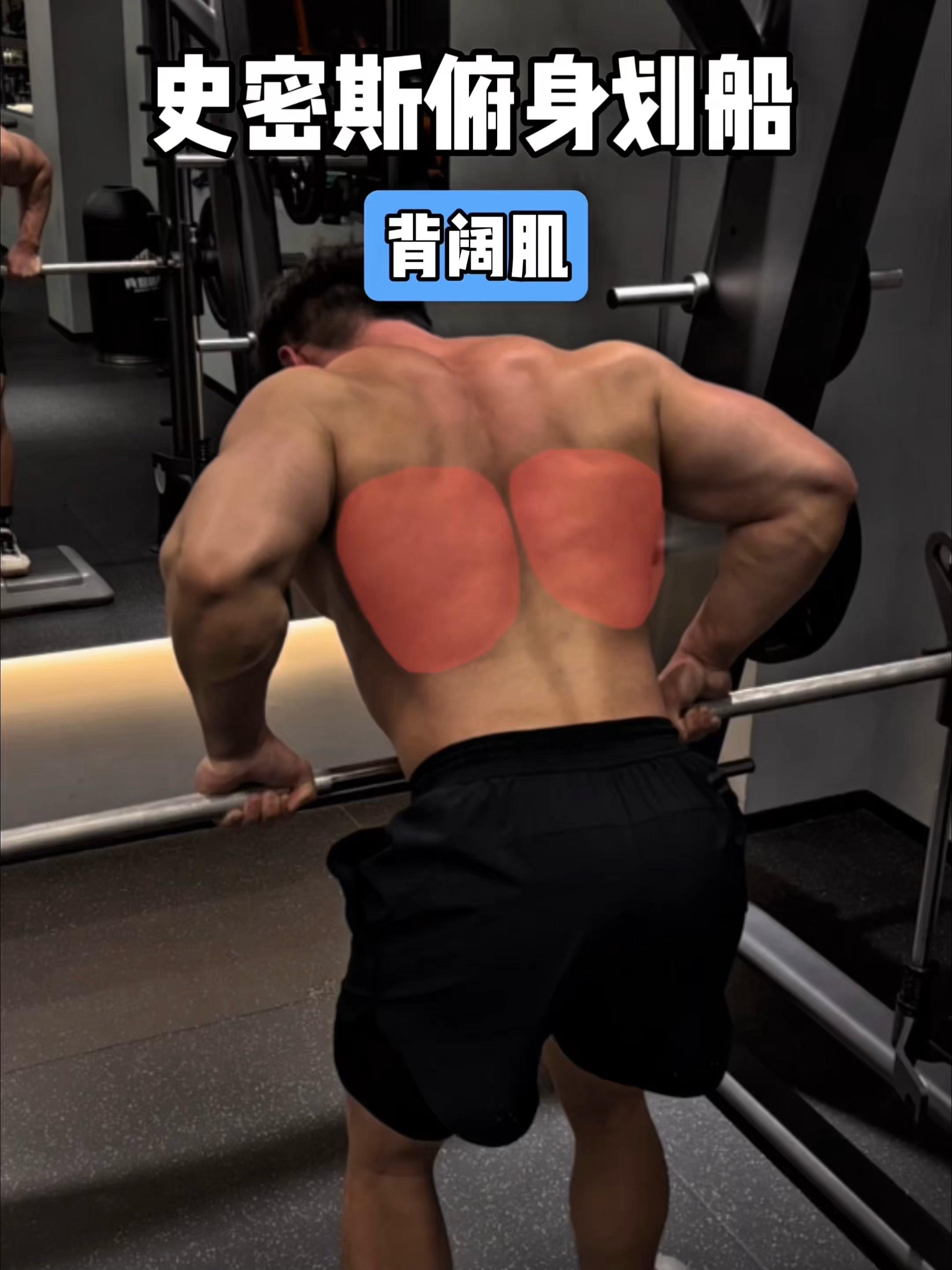 史密斯俯身划船，保姆级教程！ 一、目标肌群 史密斯俯身划船，背阔肌 二...