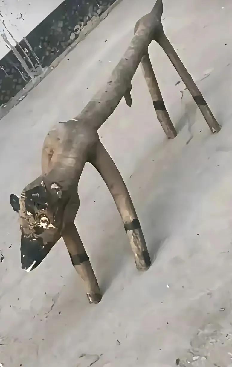 急！急！马路边被这玩意咬了，去医院该挂什么科？[what]