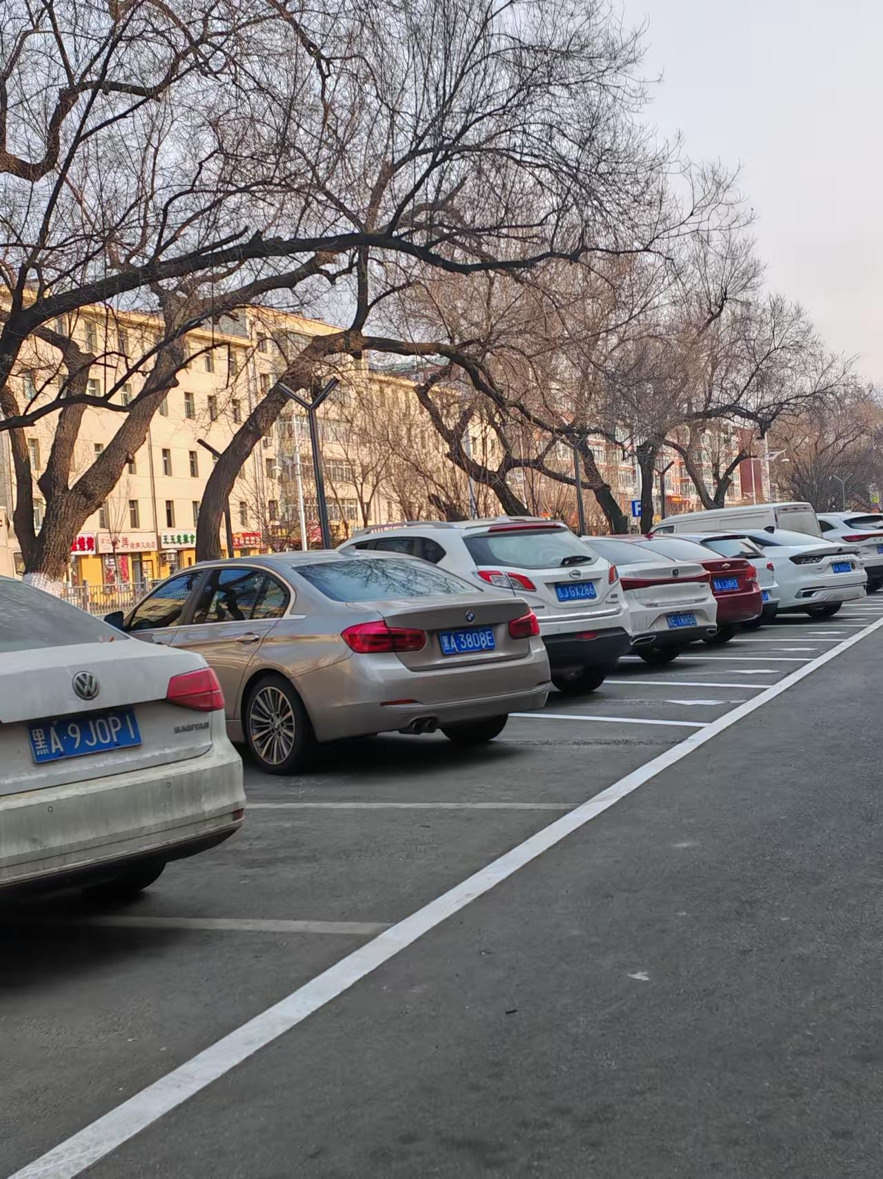 我东北哥们儿说，他那冬天零下二三十度，电车真扛不住。我问那你换回油车了？他苦笑：