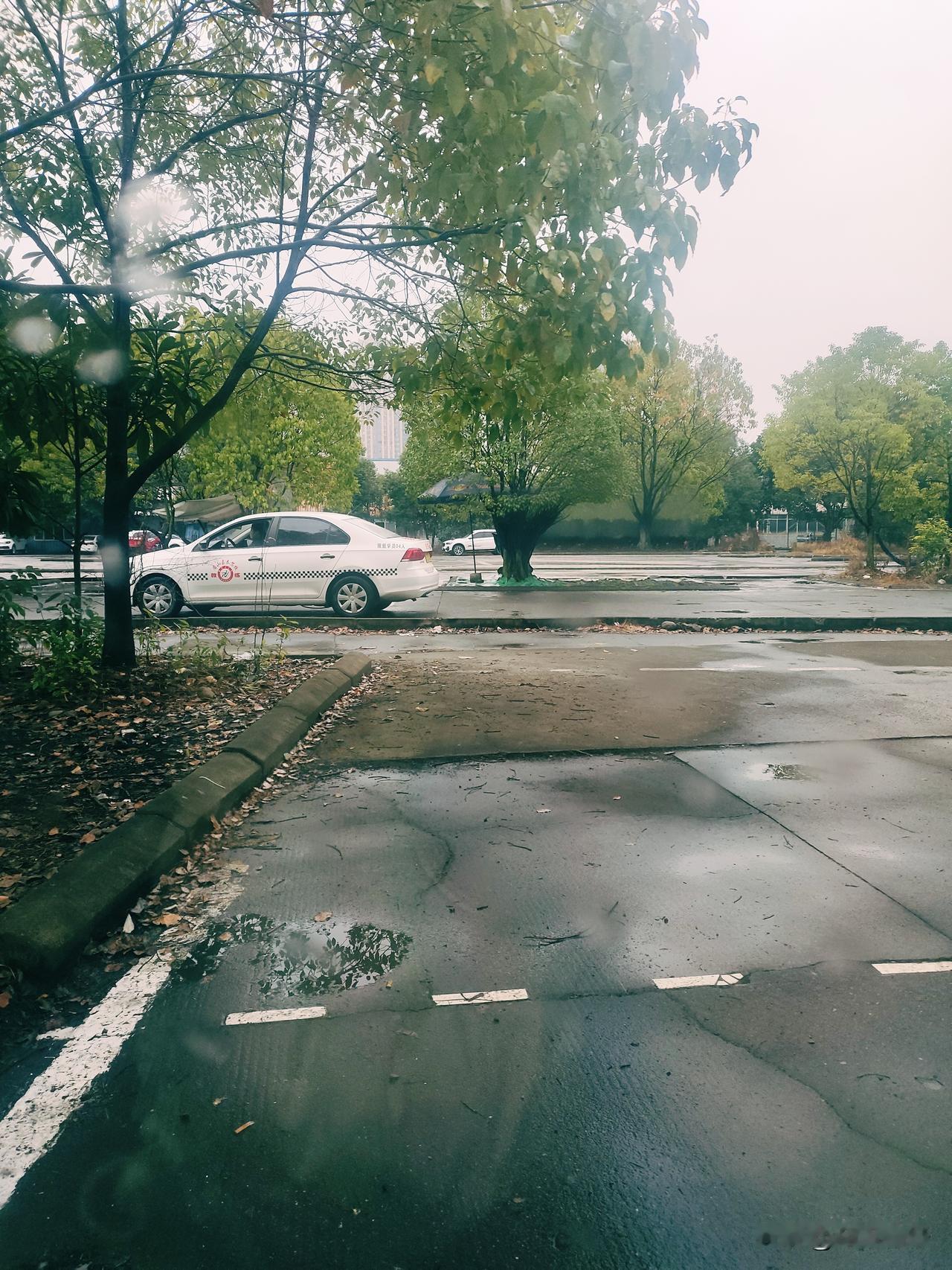 大学生放寒假的第一件事，往往是联系半年没见的驾校教练，约上车，继续和科目二或科目