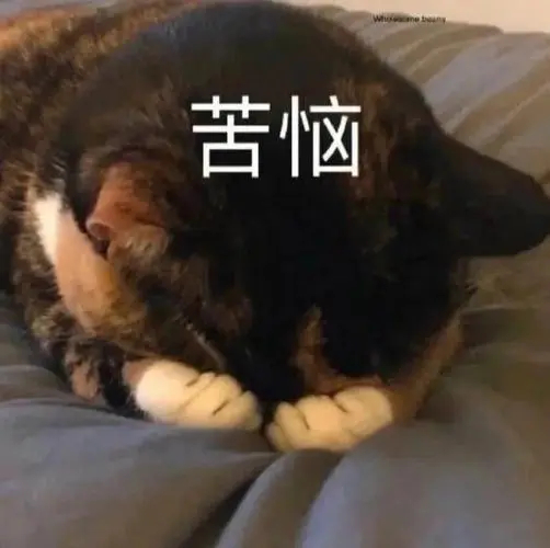 【维生素C真的可以增强免疫力吗？】人体需要维生素C完全可以从饮食中的蔬菜、水果以