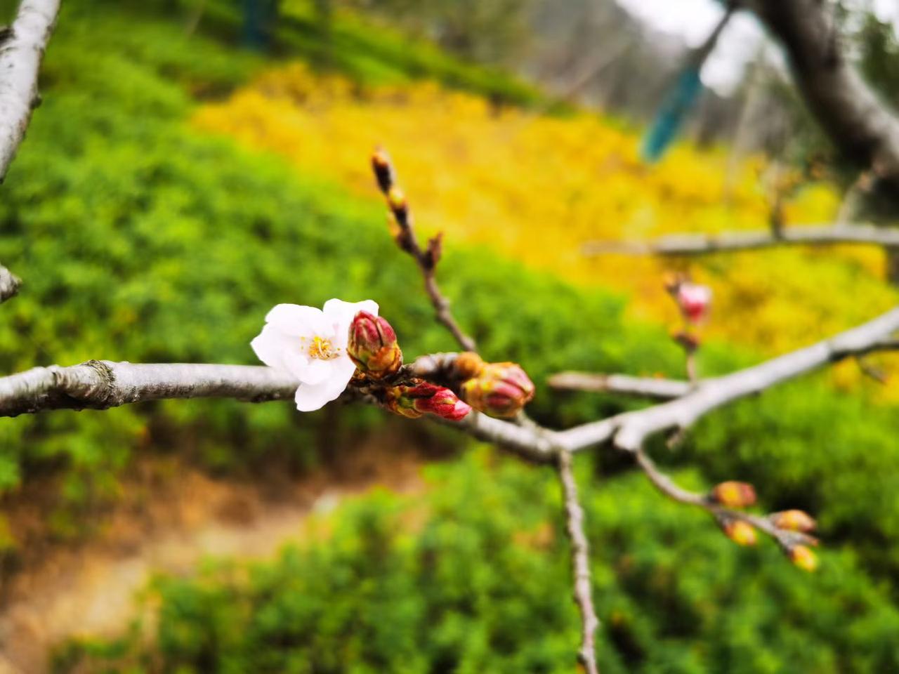 全球数据显示，每小时约100人因孤独相关健康风险离世，孤独就像一场慢性消耗战。