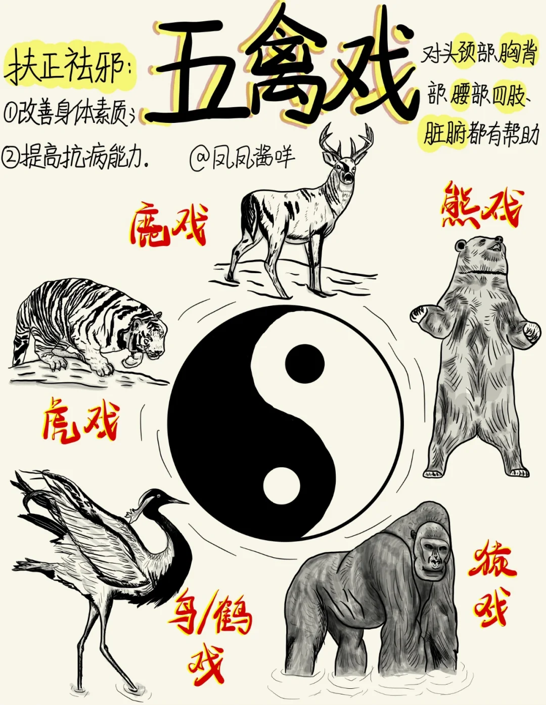 📖 医学生笔记 | 五禽戏 建议点赞收藏