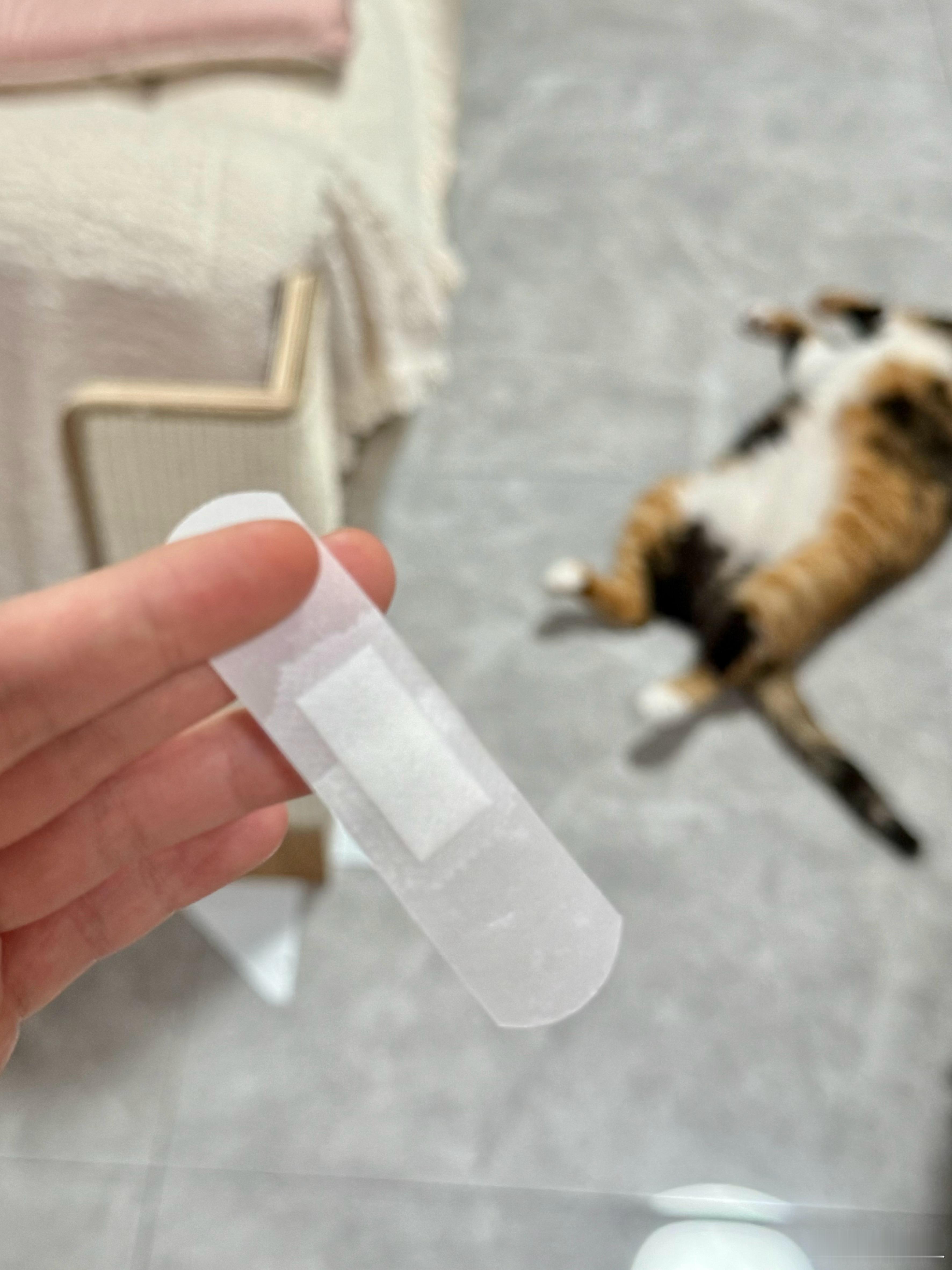 事情是这样的我脚磨破了不好走路然后便利店没有创口贴，本来想用纸巾垫吧一下没用还是