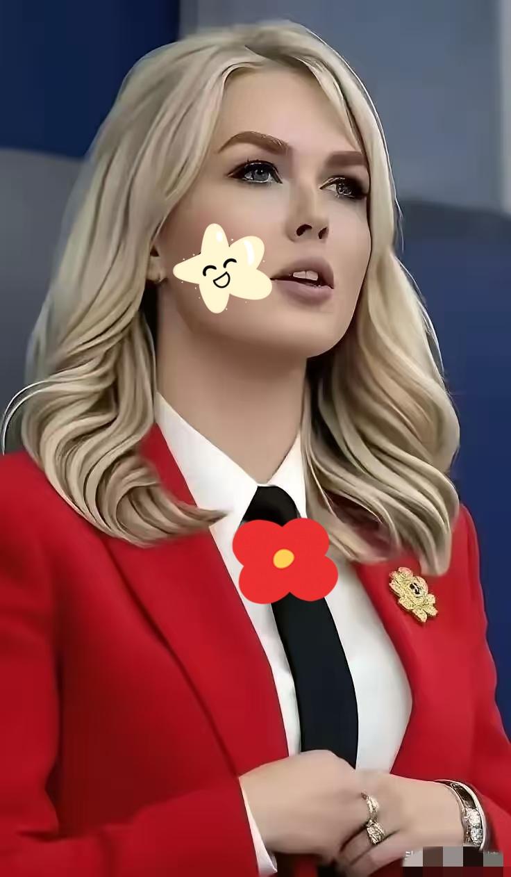 美国白宫传来消息
4月22日，美国白宫新闻秘书莱维特对外宣布，特朗普没给伊朗停火