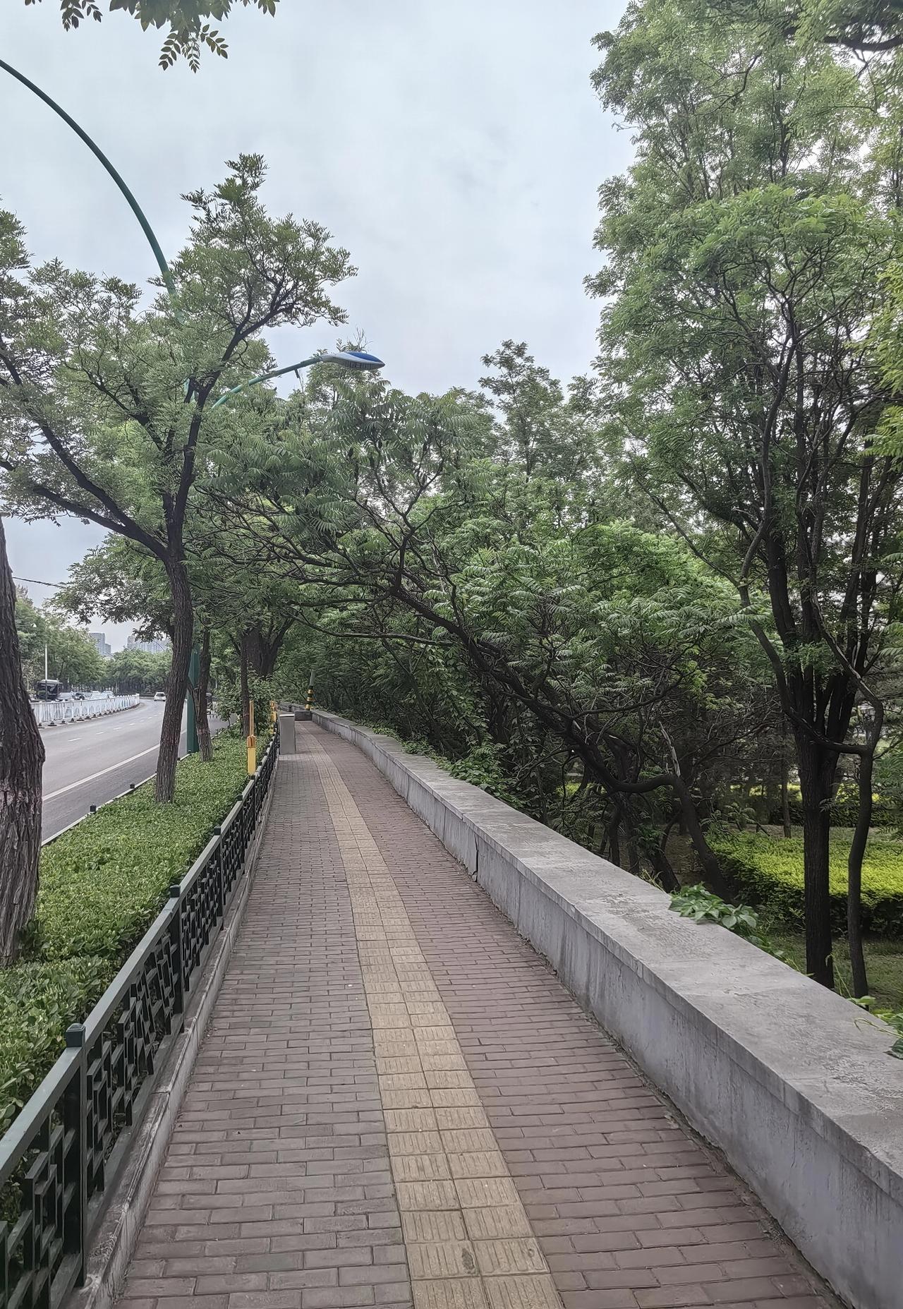 今年，南方地区频繁遭遇大雨天气，进而引发城市积水与内涝问题。从过往的气象经验来看