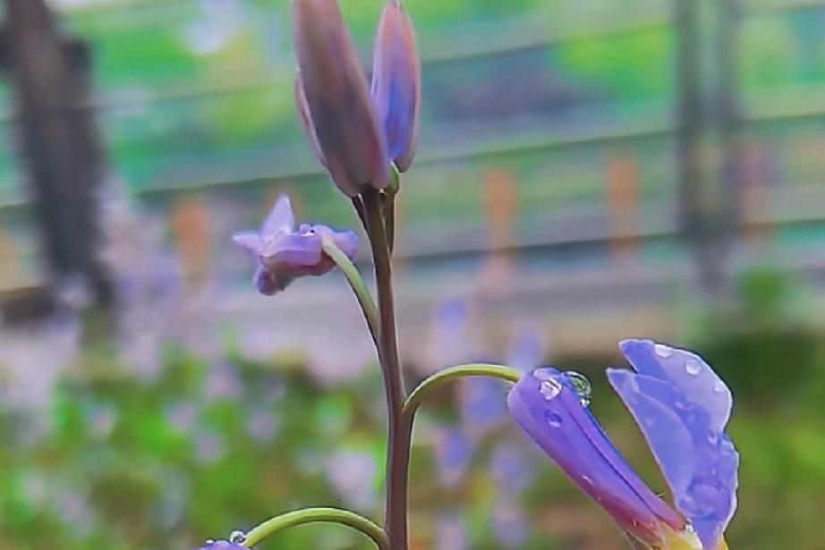 40岁才是恋爱的最好年龄。

因为年轻的时候遇见一个喜欢的人，还不懂得珍惜，也不