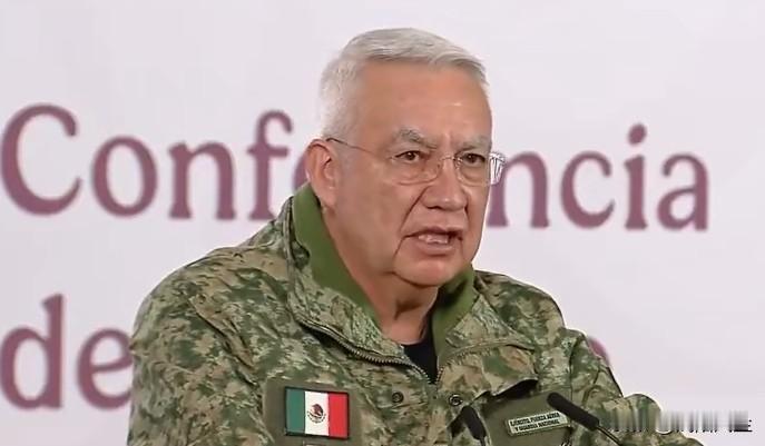 墨西哥国防部长里卡多·特雷维利亚·特雷霍‌称，已从贩毒集团收缴了23000件武器