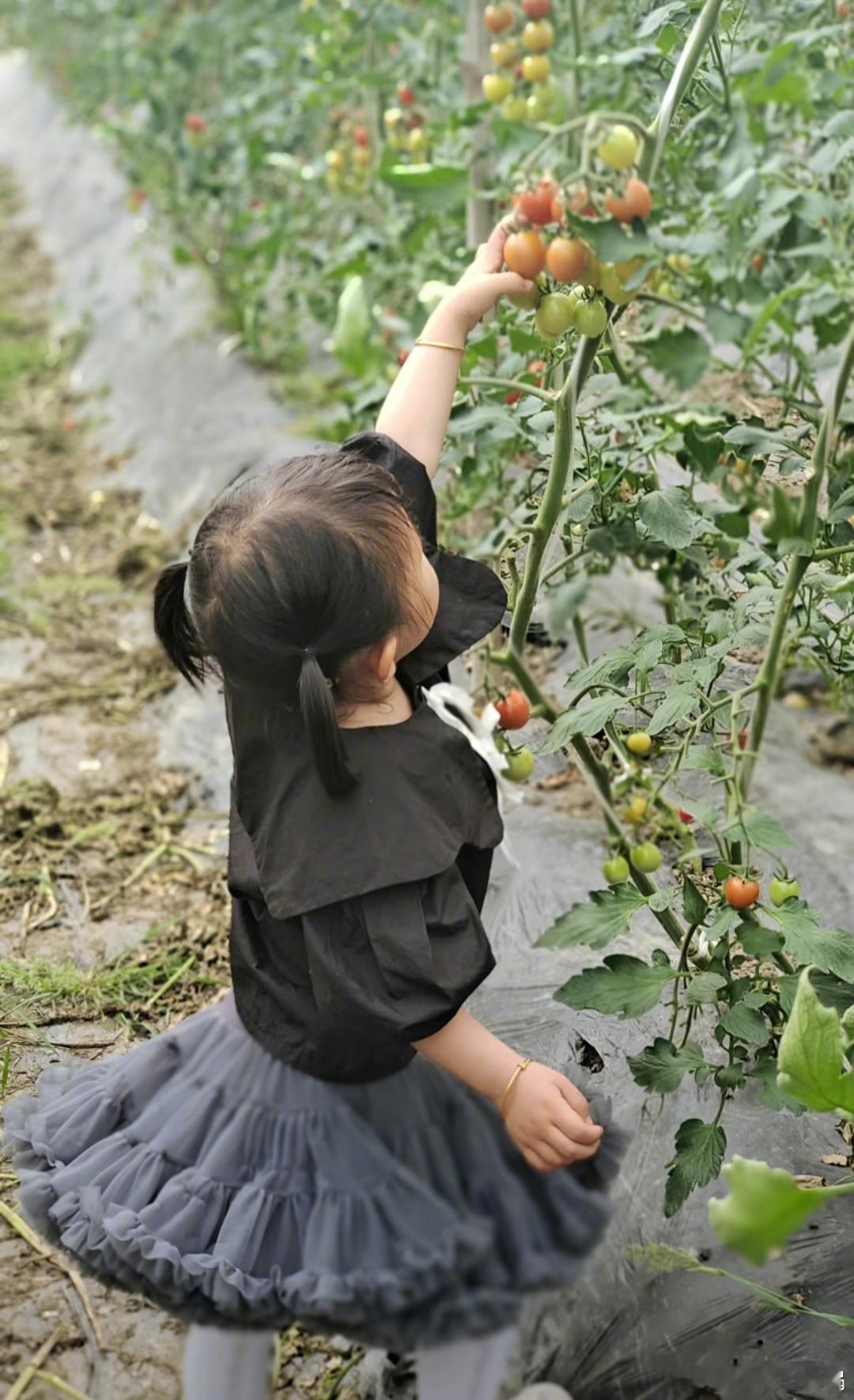 #妈妈与女儿的灵魂对话#被你的这句话突然点醒了 最近就是感觉在婆家自己就是个外人