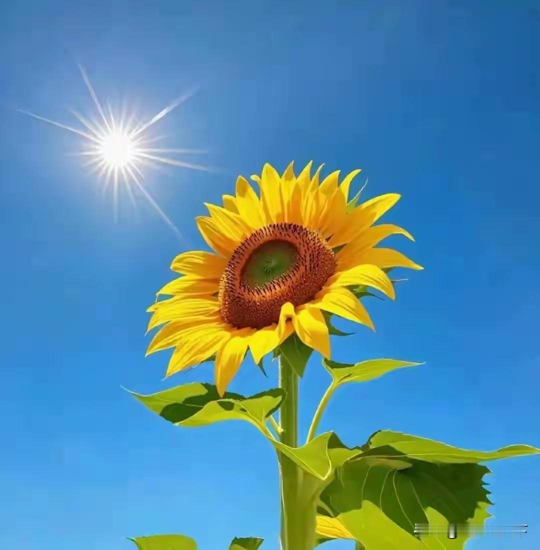 人生最踏实的10个时刻
 
1、囊中有余，不必为生计彻夜难眠

2、家人围坐，餐