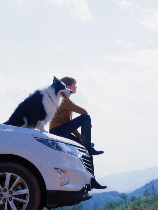 挑战全网zui帅车顶搭子 😎