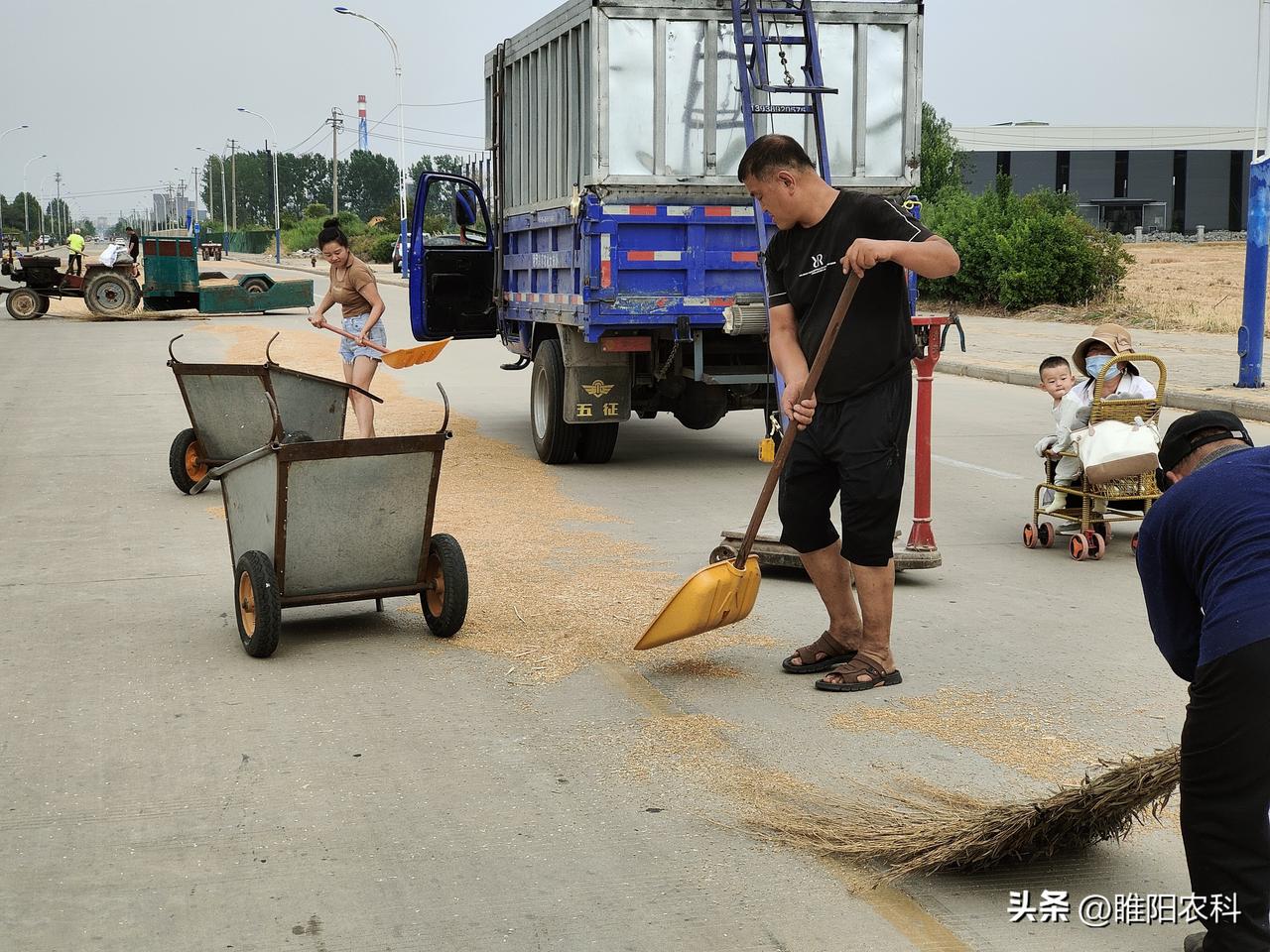 能说出农时24节气的农民有几个?二十四节气是我国农民在长期的生产实践中总结出来的