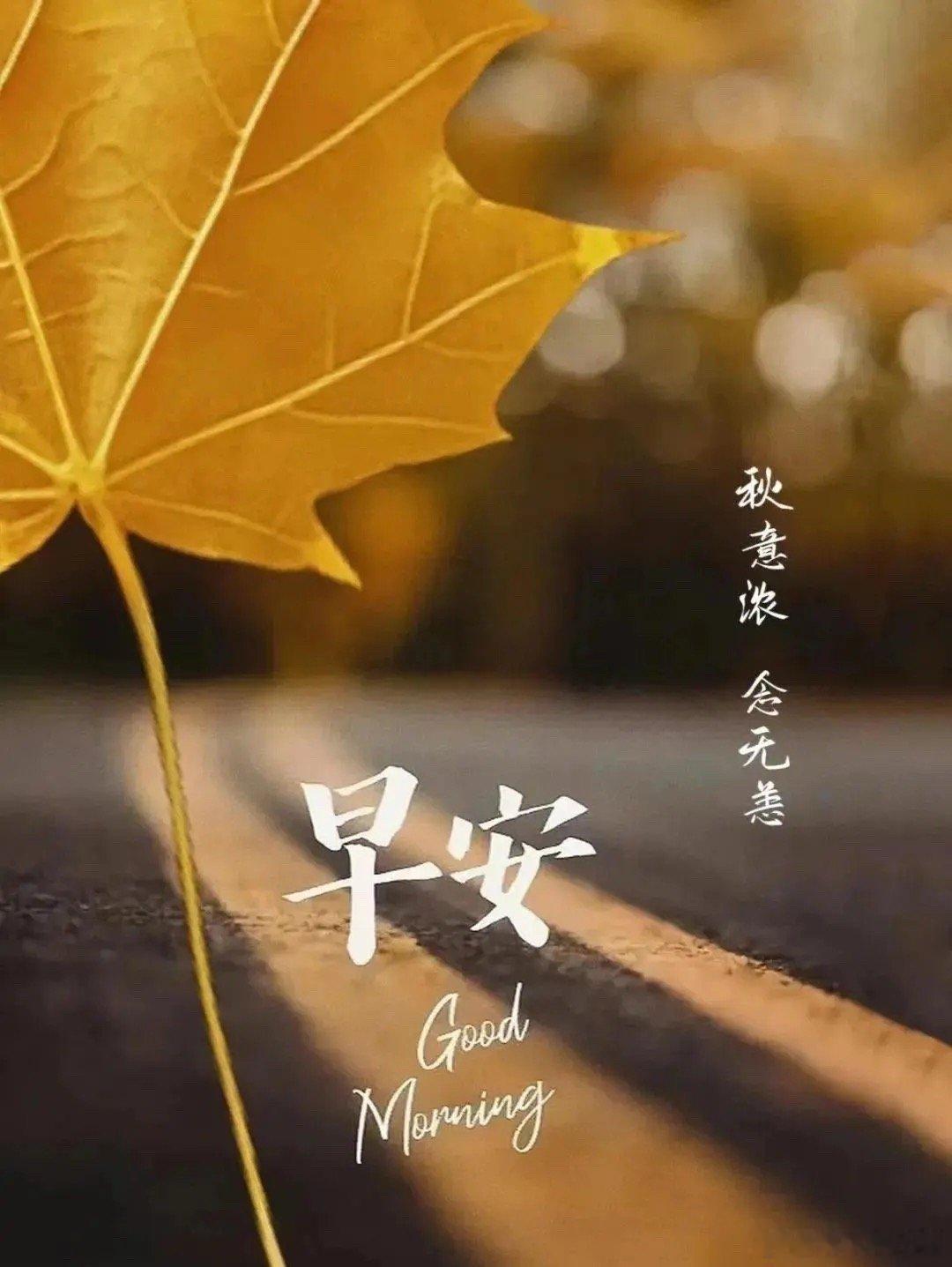 成交萎缩是量化投机退潮，并非科技行情结束。算力是经济核心赛道，企业持续扩产，供需