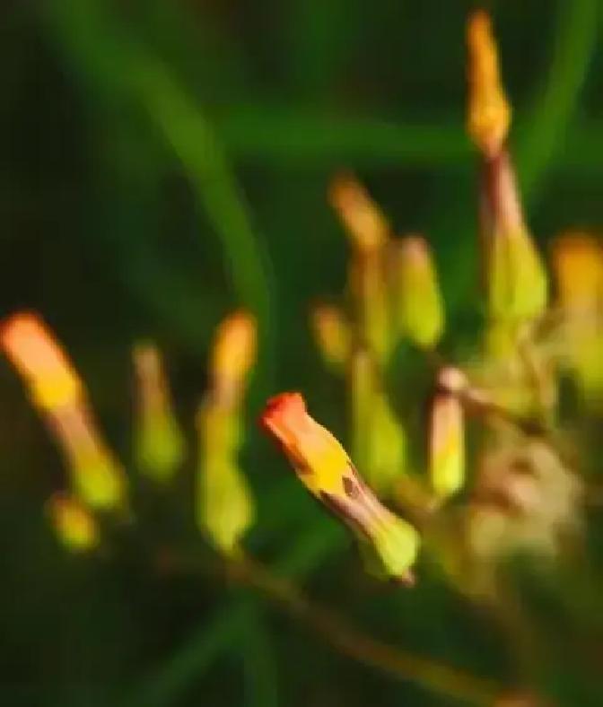 小区里一个普通男孩中考失利，没进重点高中，母亲整夜刷负面新闻，愁得吃不下饭。
